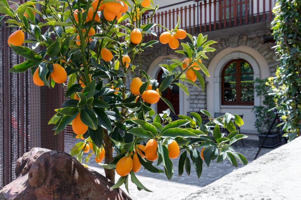 Villa Mariarosa Apartments Tignale Eksteriør billede